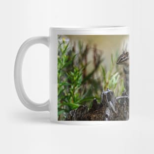 Chipmunk on its Favorite Stump Mug